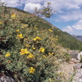 Baker Gulch Trail